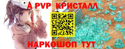 стаф Нальчик