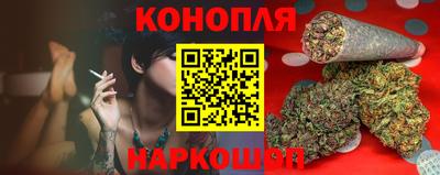стаф Нальчик