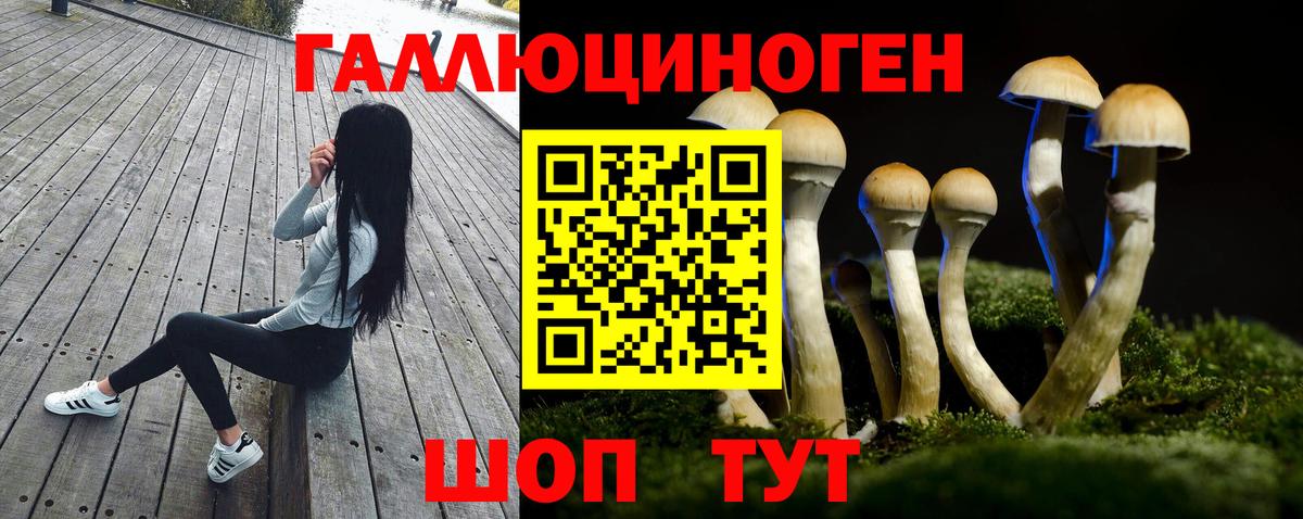 Галлюциногенные грибы Magic Shrooms Алексин